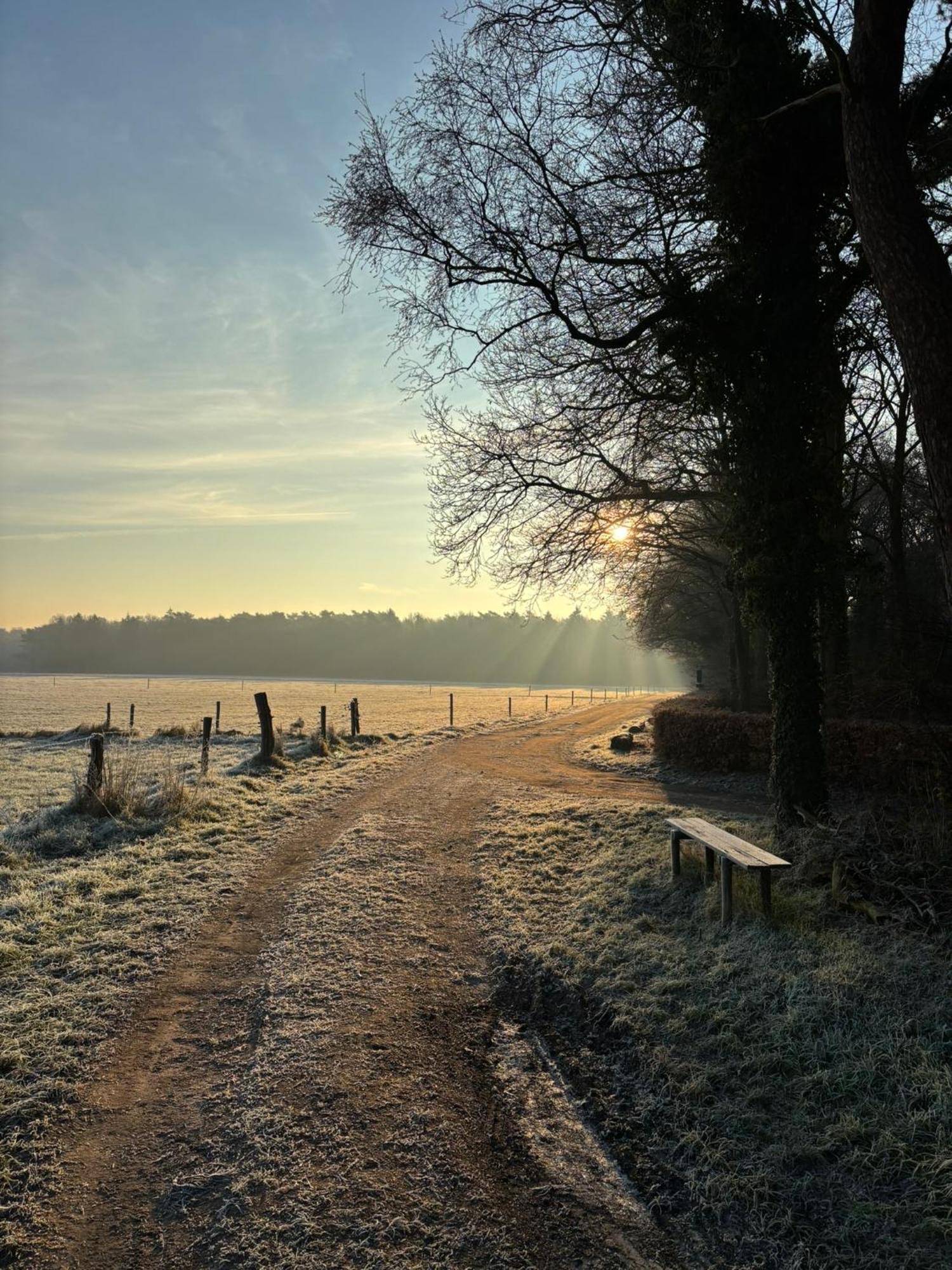 'T Holten Huus - Puur Genieten In Het Bos. Norg Eksteriør bilde